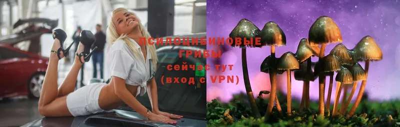 Псилоцибиновые грибы ЛСД  ссылка на мегу tor  Нижняя Салда 